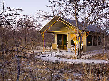 Mushara Bush Camp: Integration in die lichte Buschlandschaft