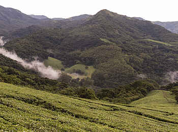 Aberfoyle Lodge: Bergland Aberfoyle Lodge: Bergland