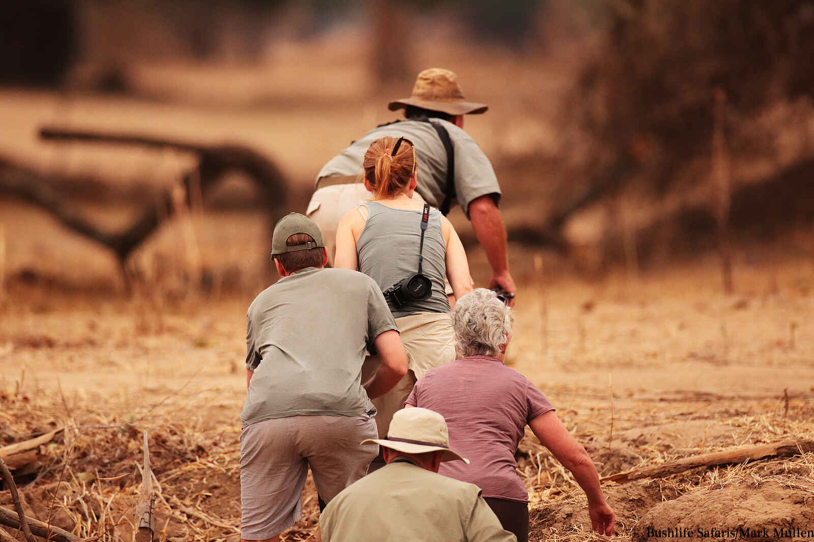 Little Vundu Camp: Walking Safari Little Vundu Camp: Walking Safari