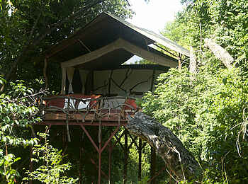 Sarara Tree: Gästezelt im Schatten der Bäume Sarara Tree: Gästezelt im Schatten der Bäume