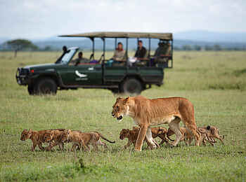 andBeyond Grumeti Serengeti River Lodge: Eine Pirschfahrt andBeyond Grumeti Serengeti River Lodge: Eine Pirschfahrt