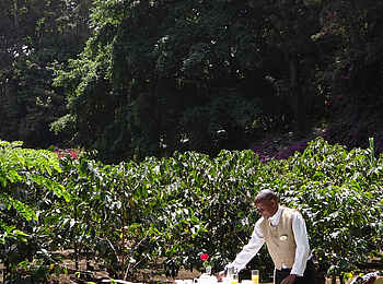 Arusha Coffee Lodge: Kaffeetisch im Garten