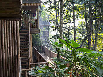 Buhoma Lodge: Morgenstimmung