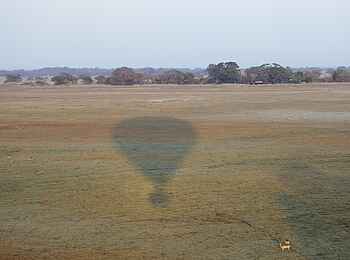 Busanga Bush Camp: Heißluftballon-Schatten Busanga Bush Camp: Heißluftballon-Schatten