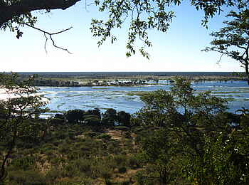 Chobe Elephant Camp: Die Schwemmebene des Chobe River Chobe Elephant Camp: Die Schwemmebene des Chobe River