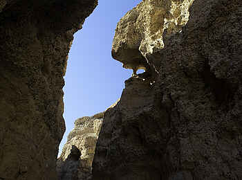 Kulala Desert Lodge: Im Sesriem Canyon