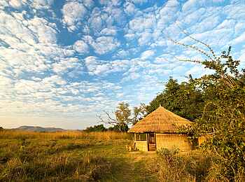Kuyenda Bushcamp: Gästechalet unter heiterem Himmel