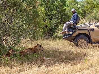 Leopard Hills: Game Drive
