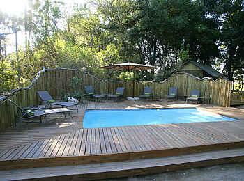 Moremi Crossing: Pool und Liegestühle Moremi Crossing: Pool und Liegestühle