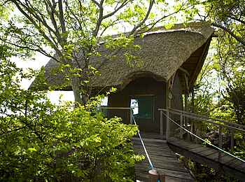 Mumbo Island Camp: Aufgang zu einem Gästezelt