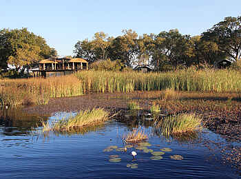 Nkasa Lupala Tented Lodge: Schilf vor dem Hauptgebäude Nkasa Lupala Tented Lodge: Schilf vor dem Hauptgebäude