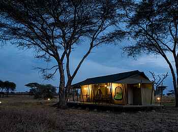 Ole Serai Luxury Camp - Turner Springs: Ein Gästezelt am Abend Ole Serai Luxury Camp - Turner Springs: Ein Gästezelt am Abend