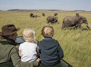 Rekero Camp: Elefanten