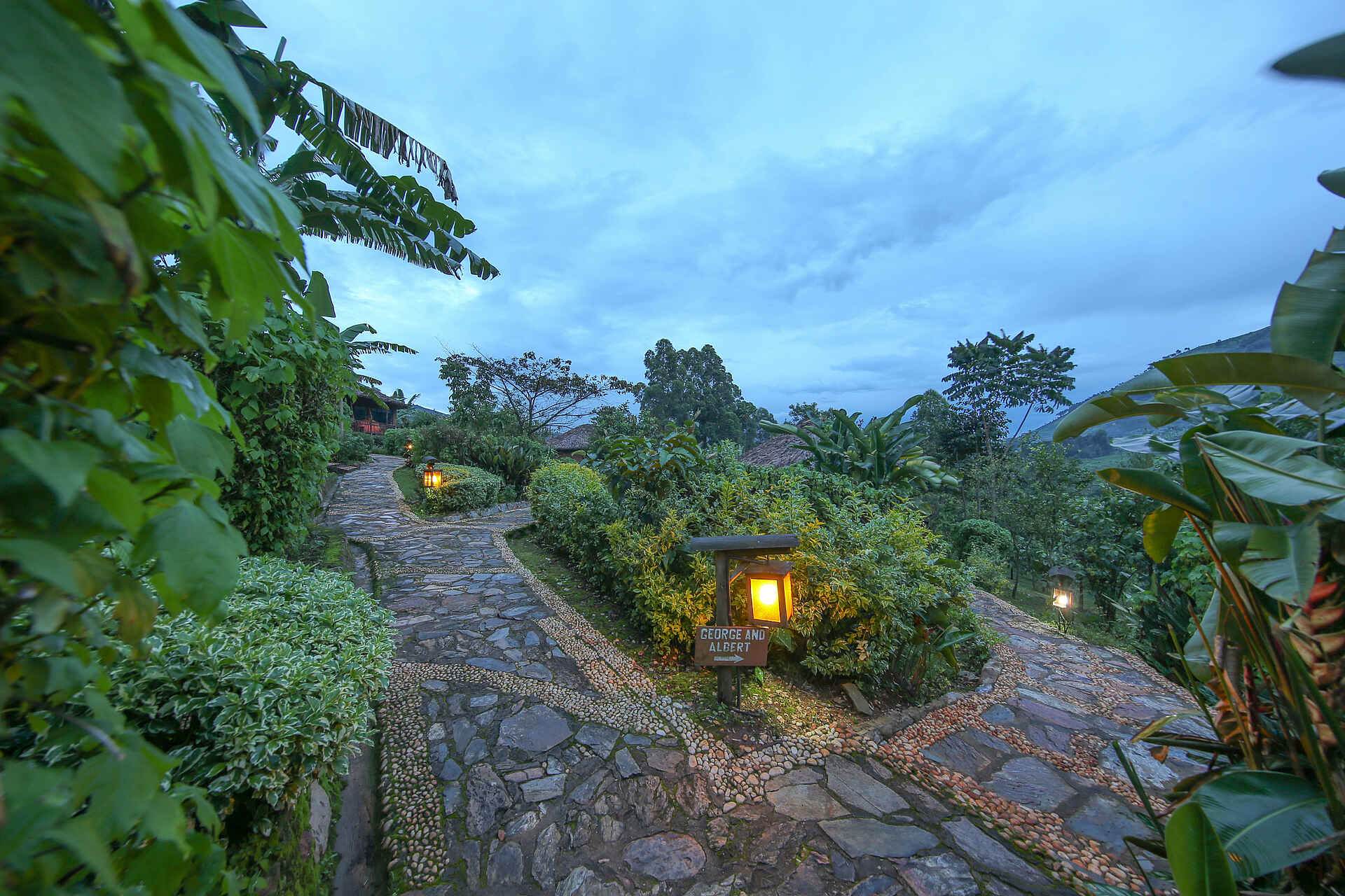 Buhoma, Bwindi Impenetrable Forest National Park, Gorilla beringei, Gorilla Tracking, Mahogany Springs Safari Lodge, Garten, Laternen, Pfad, Afrikarma, Afrikarma Safaris, Afrikarma Safaris - Wildnis. Hautnah., Afrikarma.de