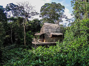 Ngaga Camp: Außenansicht eines Baumhauses