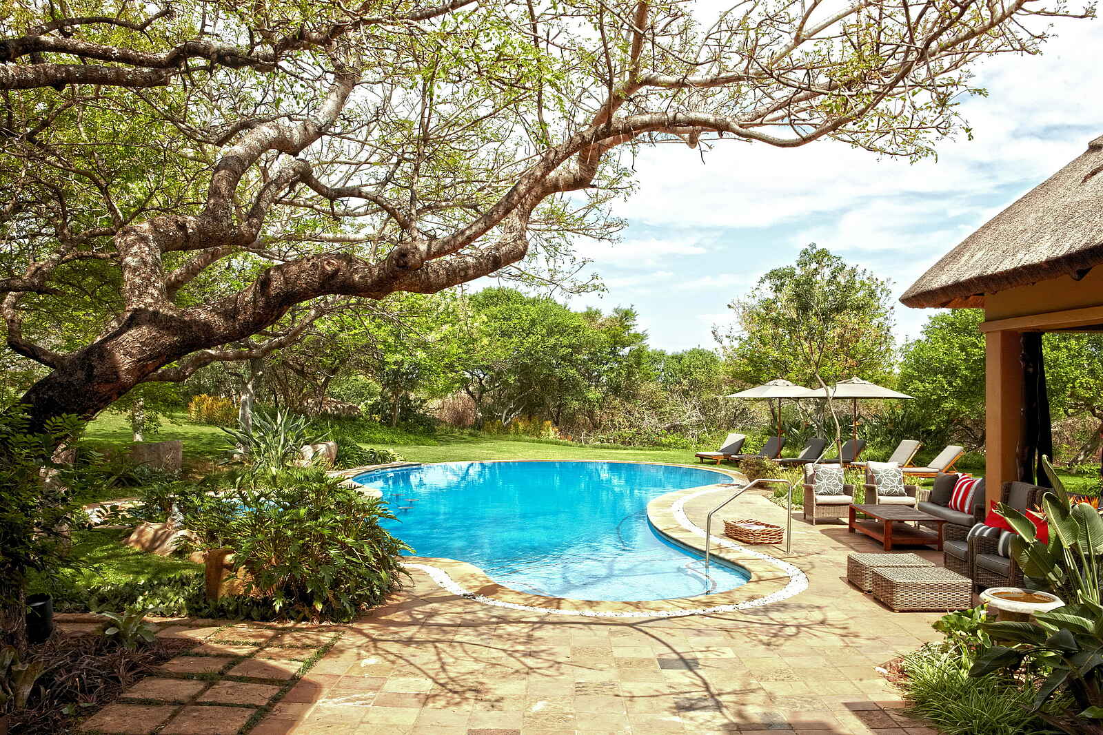 Thanda Villa iZulu: Der Pool mit Ausblick ins Grüne Thanda Villa iZulu: Der Pool mit Ausblick ins Grüne
