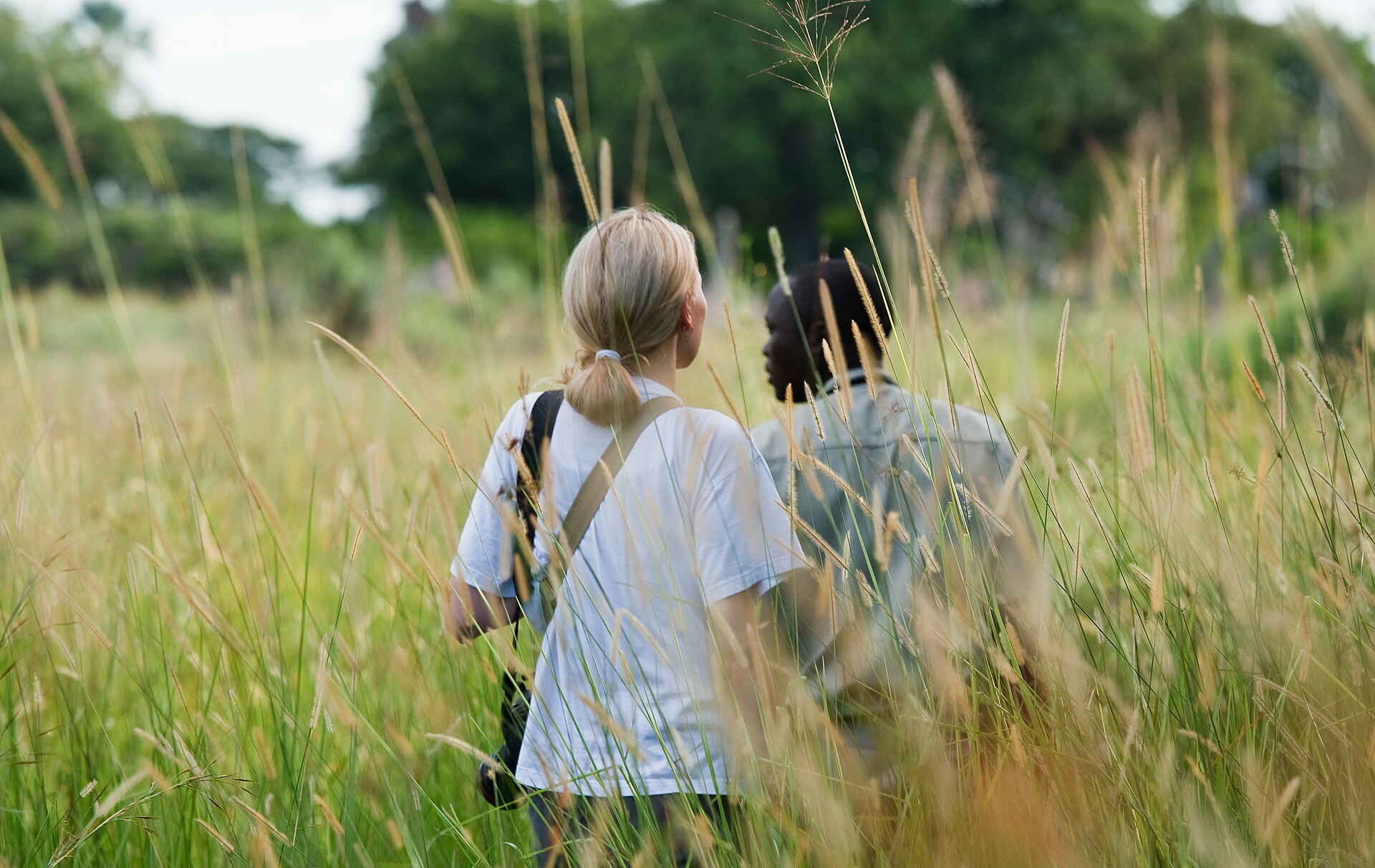 Boro-River, Delta Camp, Moremi Game Reserve, NG 27B, Okavango-Delta, Öko-Lodge, Geführte Buschwanderung, Walking Safari Camp