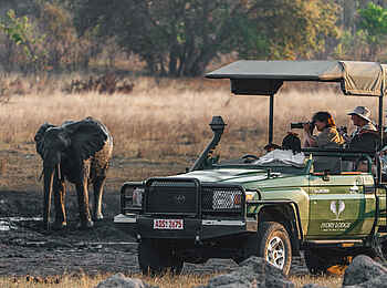 Ivory Lodge: Game Drive Ivory Lodge: Game Drive