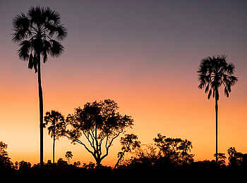 Jabali Ridge Camp: Sonnenuntergang im Ruaha Nationalpark Jabali Ridge Camp: Sonnenuntergang im Ruaha Nationalpark
