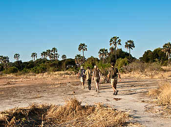 Kichaka Expeditions: Erkundung des Nationalparks