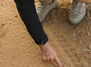 Kwihala Camp: Spurensuche