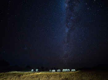 Machaba Camp: Nachts