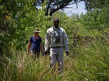 Mopriri Camp: Walking-Safari Mopriri Camp: Walking-Safari