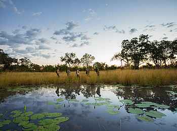 Sitatunga Private Island Suite: Zu Fuß unterwegs Sitatunga Private Island Suite: Zu Fuß unterwegs