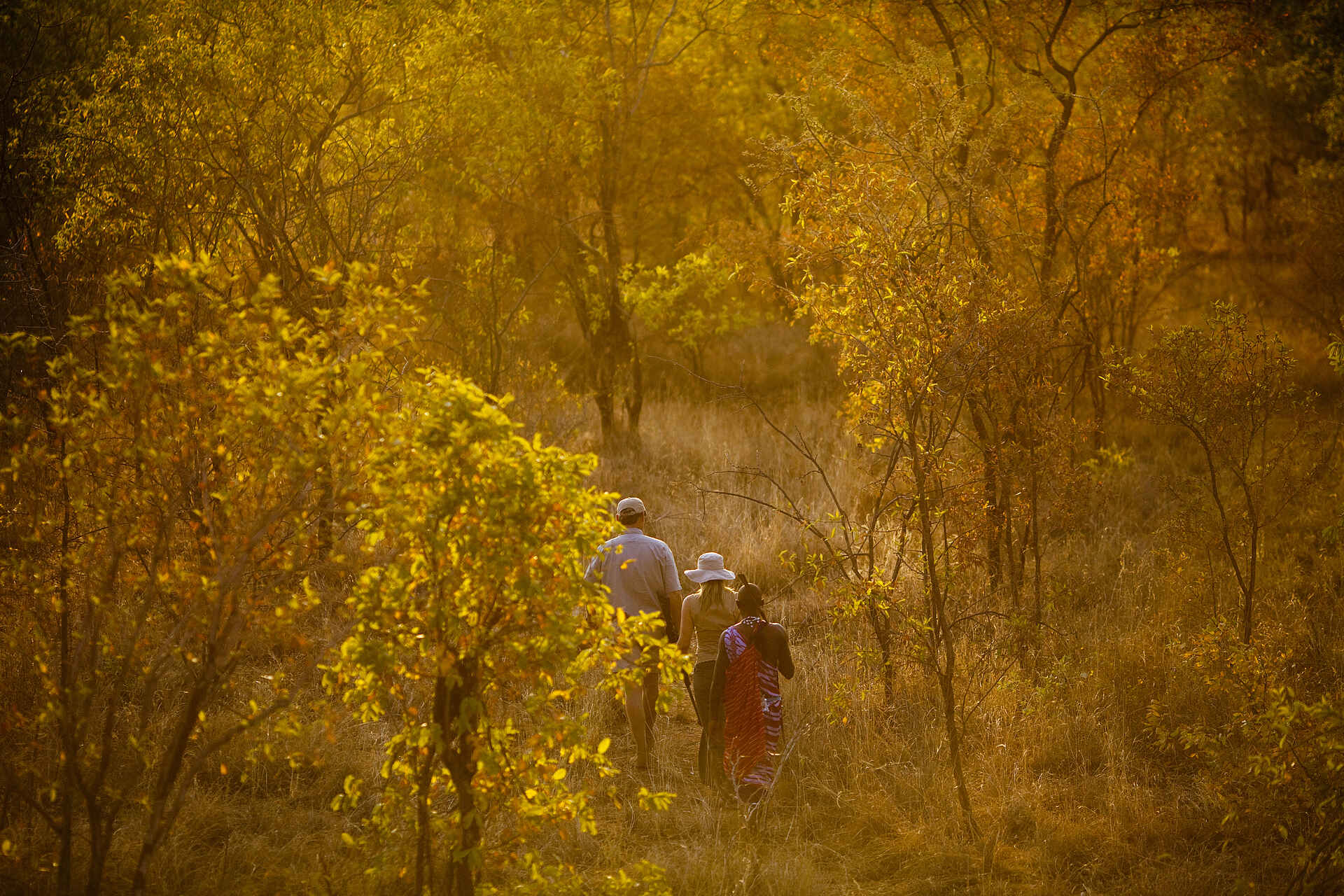 Tarangire Treetops: Geführte Buschwanderung