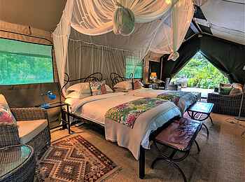 The Woodlands Camp: Schlafbereich mit Einzelbetten