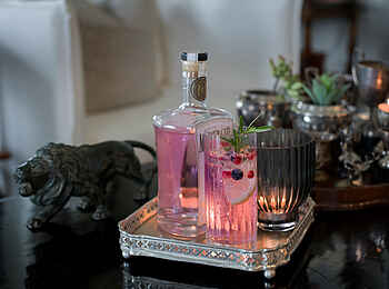 Kirkman's Kamp Lodge: Gin and Tonic