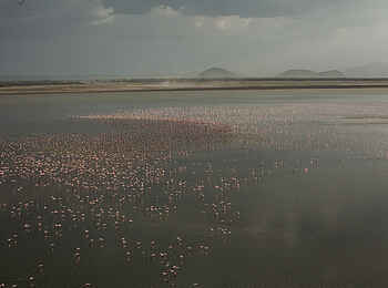 Chem Chem Lodge: Flamingo-Paradies Chem Chem Lodge: Flamingo-Paradies