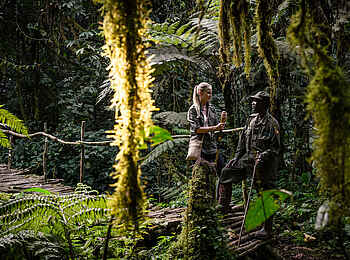 Gorilla Forest Lodge: Auf Vogelbeobachtung Gorilla Forest Lodge: Auf Vogelbeobachtung