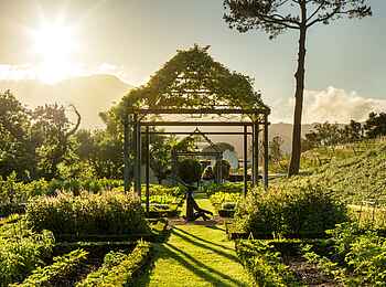 Leeu Estates: Kräutergarten