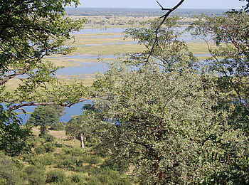 Muchenje Safari Lodge: Terrasse