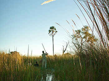 Oddball's Camp: Mokoroausflug