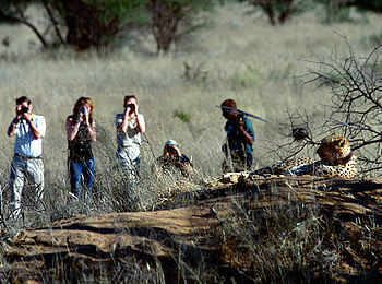 Okonjima Plains Camp: Safari Okonjima Plains Camp: Safari