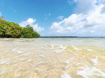 Pole Pole Bungalows: Strand mit klarem Wasser