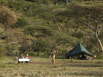 Wayo Nabi Green Camp: Essen unter freiem Hmmel Wayo Nabi Green Camp: Essen unter freiem Hmmel