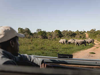 Wilderness Magashi Peninsula: Begegnung mit Nashörnern