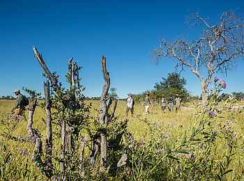 Zarafa Camp: Walking Safari
