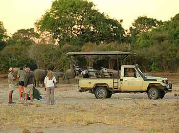 Kavinga Safari Camp: Game Drive zum Wasserloch Kavinga Safari Camp: Game Drive zum Wasserloch