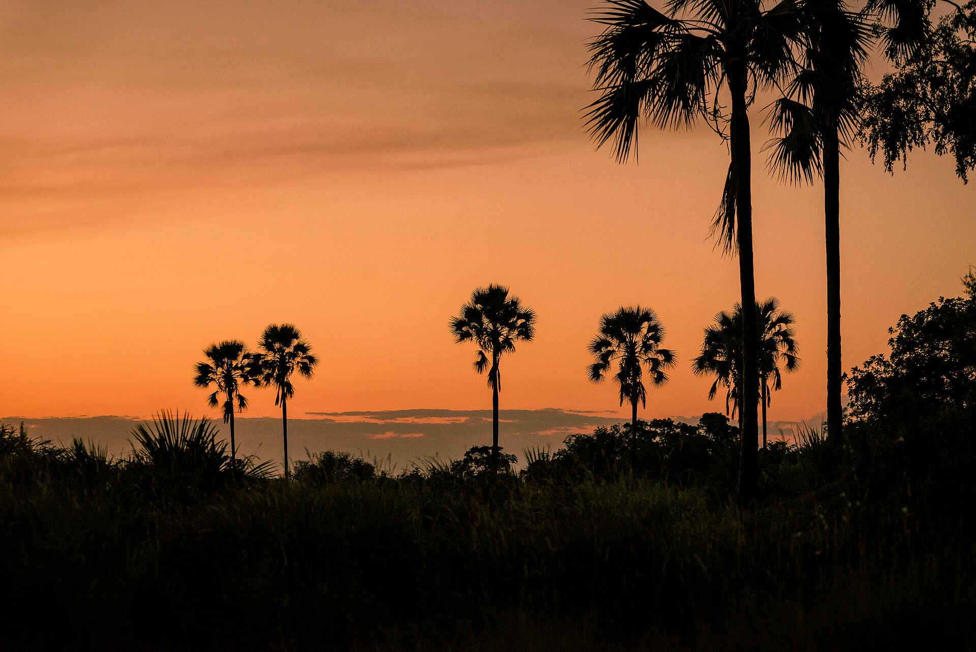 Sanctuary Stanley's Camp: Sonnenuntergang Sanctuary Stanley's Camp: Sonnenuntergang