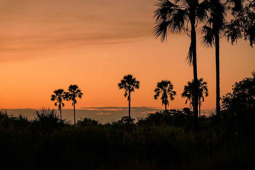 Sanctuary Stanley's Camp: Sonnenuntergang Sanctuary Stanley's Camp: Sonnenuntergang