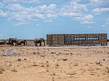 Etosha King Nehale: Blick auf den Fotohide