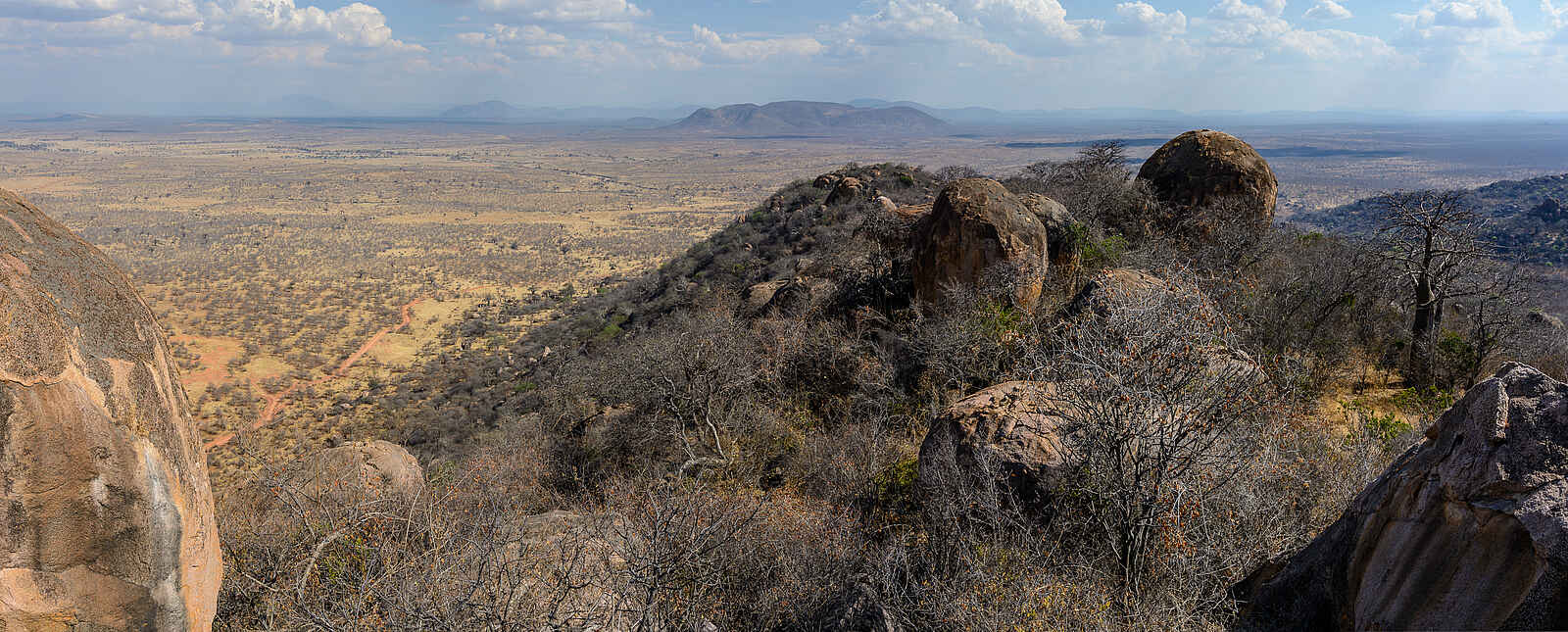 Jabali Ridge Camp: Das weite Buschland des Ruaha Nationalparks. Jabali Ridge Camp: Das weite Buschland des Ruaha Nationalparks.