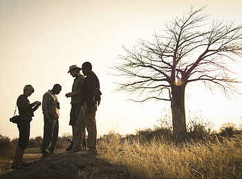 Kigelia Camp: Auf Walking Safari Kigelia Camp: Auf Walking Safari