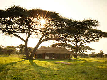 Kusini Serengeti Camp: Sonnenaufgang