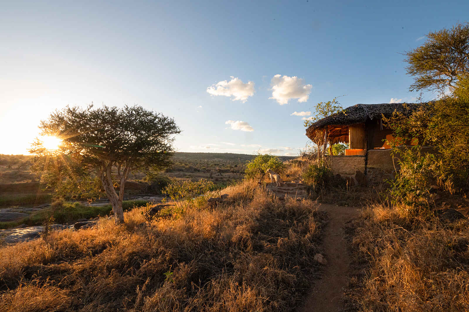 Laikipia Wilderness River Camp: Ansicht Gästebungalow Laikipia Wilderness River Camp: Ansicht Gästebungalow