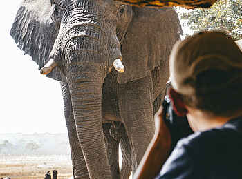 Sable Valley Lodge: Nahaufnahme Sable Valley Lodge: Nahaufnahme
